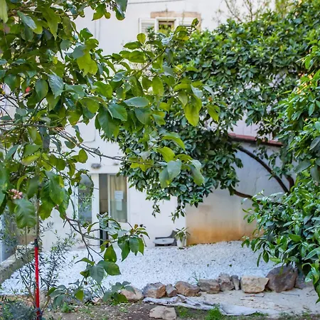 안치 3* 두브로브니크